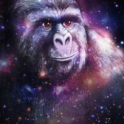 Aiham Hammami's avatar