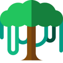 Avatar for product Canopy API