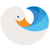 Deep Dive Duck
