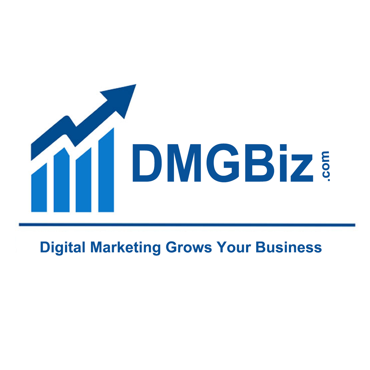 DMGBiz.com