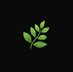 ecogram