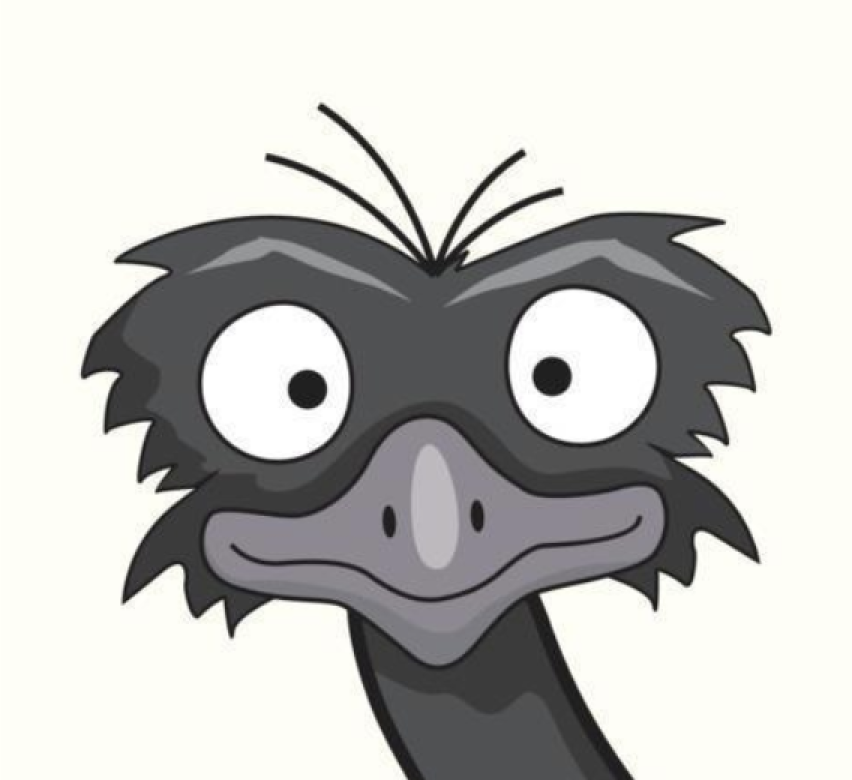 Email Emu