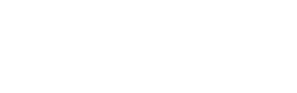 InsightJet