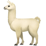 LoginLlama