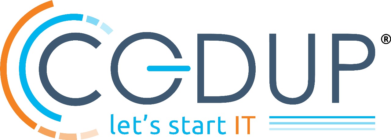 Low-code/No-code Platform