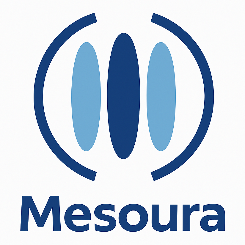 Mesoura Metadata
