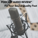 Avatar for product Mini Audio Audit