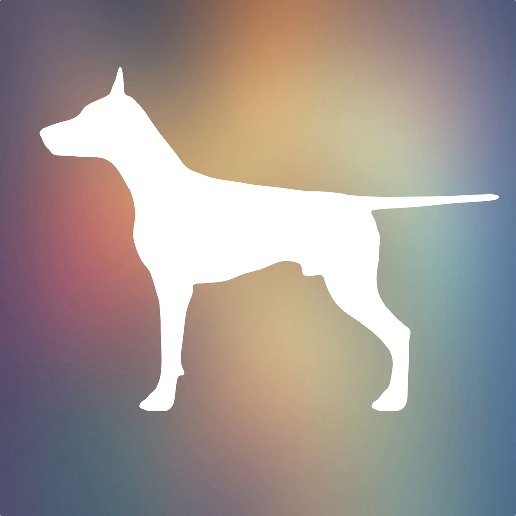 My Dog App - Care my Dog