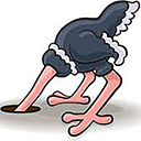 Avatar for product Ostrich