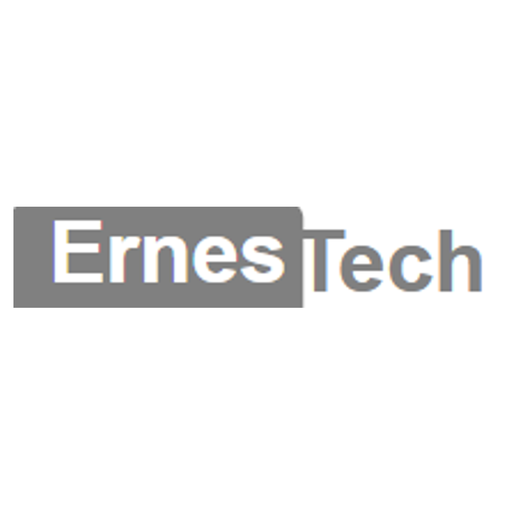 ErnesTech Social Media