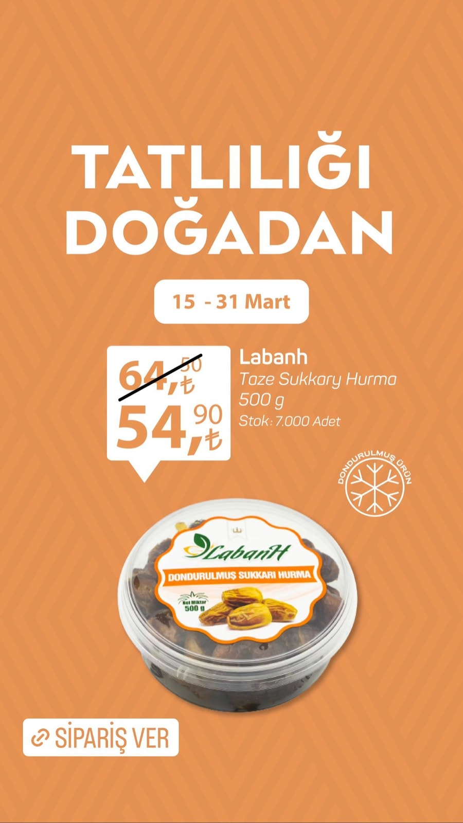 15.03.2023 File Market broşürü 1. sayfa