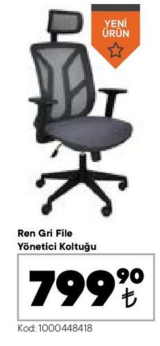 Ren Gri File Yönetici Koltuğu image