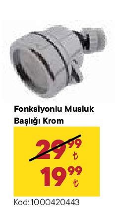 Fonksiyonlu Musluk Başlığı Krom image