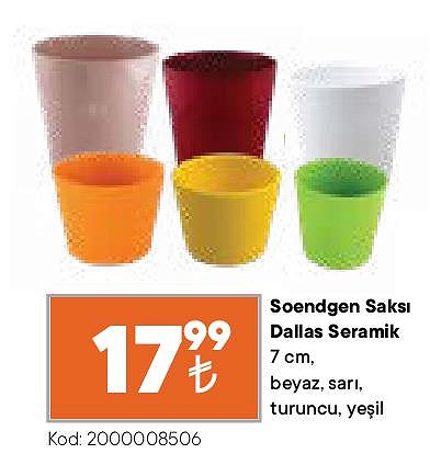 Soendgen Saksı Dallas Seramik 7 cm image