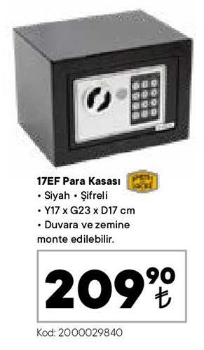 Smith and Locke 17EF Para Kasası image