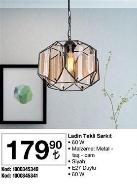 Ladin Tekli Sarkıt 60 W image