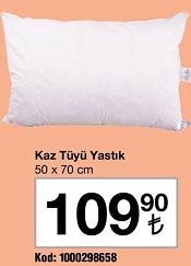 Kaz Tüyü Yastık 50 x 70 cm image