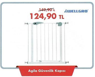 Agila Güvenlik Kapısı image