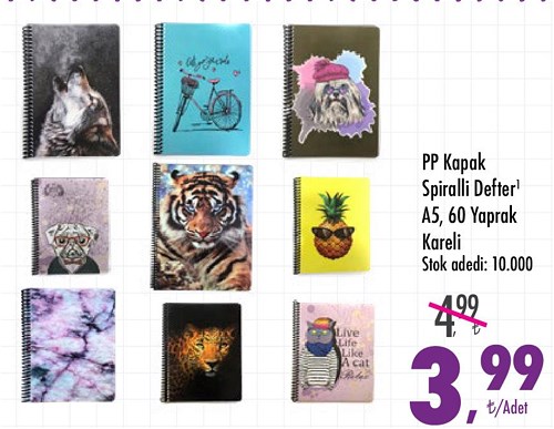 PP Kapak Spiralli Defter A5 60 Yaprak Kareli image