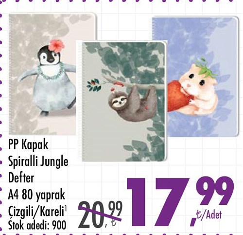 PP Kapak Spiralli Jungle Defter A4 80 Yaprak image