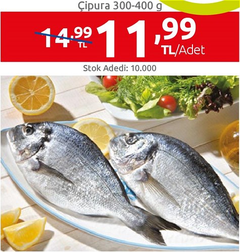 Çipura 300/400 g Adet image