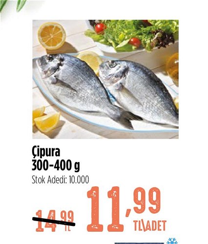 Çipura 300/400 g Adet image