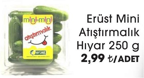 Erüst Mini Atıştırmalık Hıyar 250 g image