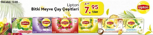 Lipton Bitki Meyve Çay Çeşitleri image