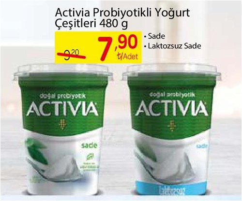 Activia Probiyotikli Yoğurt Çeşitleri 480 g image