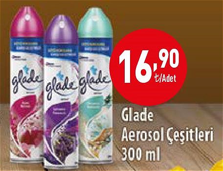 Glade Aerosol Çeşitleri 300 ml image