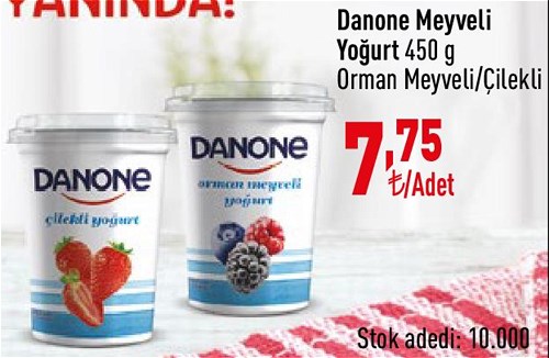 Danone Meyveli Yoğurt 450 g image