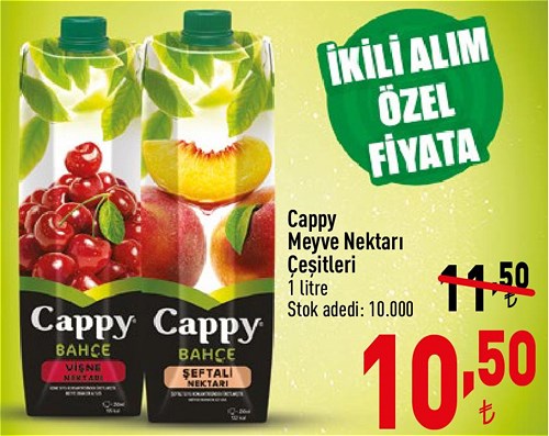 Cappy Meyve Nektarı Çeşitleri 1 litre image