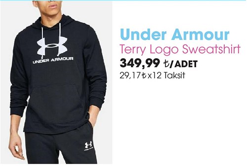 Under Armour Terry Logo Sweatshirt image