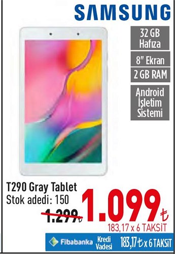 Samsung T290 32 GB 8" Gray Tablet image