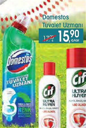 Domestos Tuvalet Uzmanı image