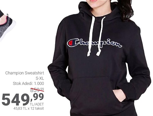 Champion Sweatshirt image