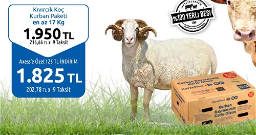Kıvırcık Koç Kurban Paketi En Az 17 Kg image