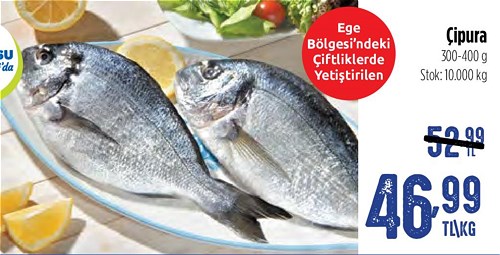 Çipura 300 - 400 g Kg image