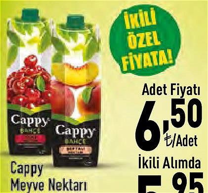 Cappy Meyve Nektarı 1 l Çeşitleri  image