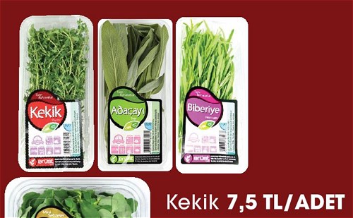 Kekik image