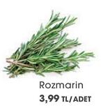 Rozmarin Adet image