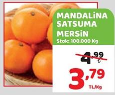 Mandalina Satsuma Mersin Kg image