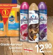 Glade Aerosol Çeşitleri 300 ml image