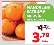 Mandalina Satsuma Mersin Kg image