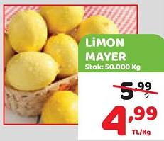 Limon Mayer Kg image