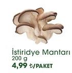 İstiridye Mantarı 200 g image