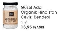 Güzel Ada Organik Hindistan Cevizi Rendesi 35 g image