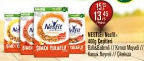 Nestle Nesfit 400 gr Çeşitleri image