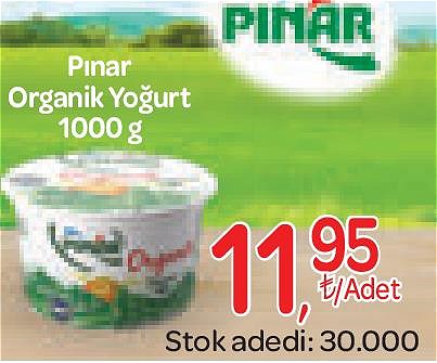 Pınar Organik Yoğurt 1000 g image