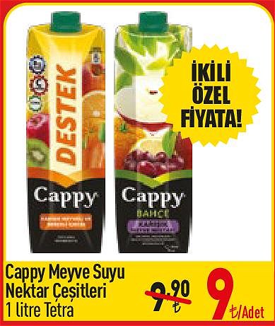 Cappy Meyve Suyu Nektar Çeşitleri 1 l Tetra image